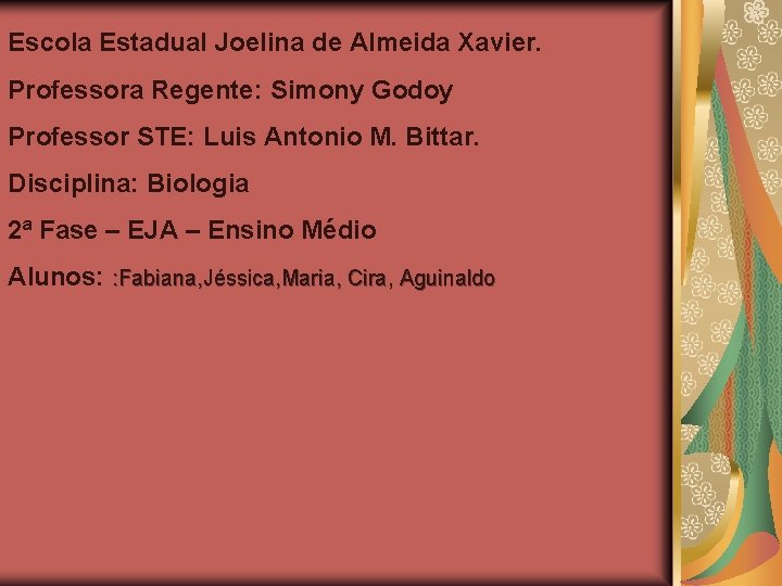 Escola Estadual Joelina de Almeida Xavier. Professora Regente: Simony Godoy Professor STE: Luis Antonio