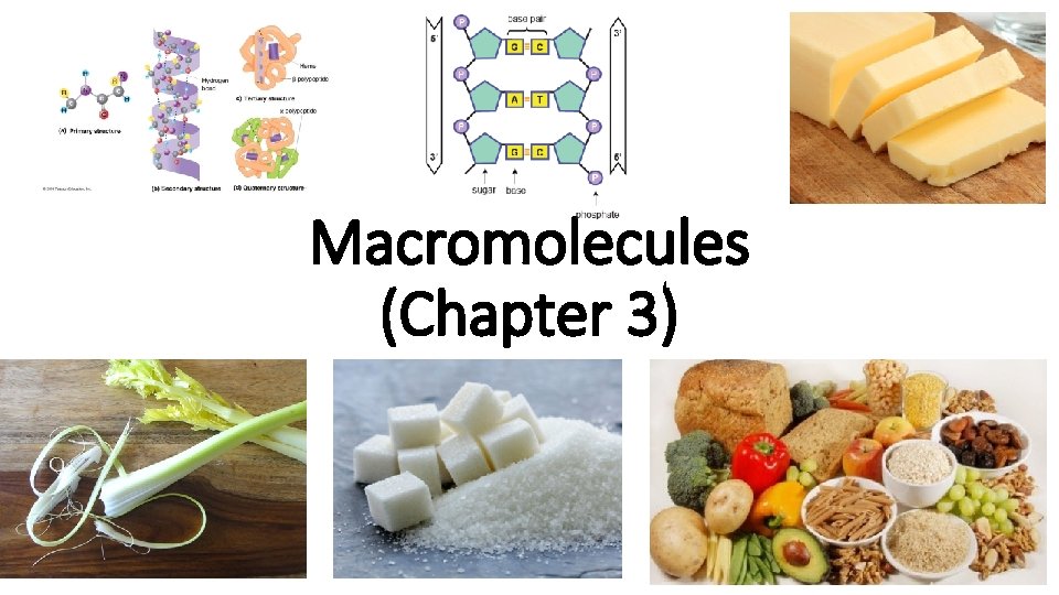 Macromolecules (Chapter 3) 