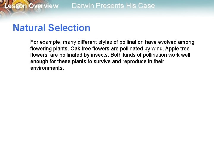 Lesson Overview Darwin Presents His Case Natural Selection For example, many different styles of