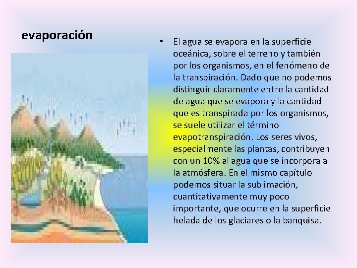 evaporación • El agua se evapora en la superficie oceánica, sobre el terreno y