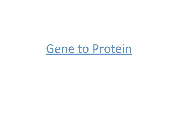 Gene to Protein 