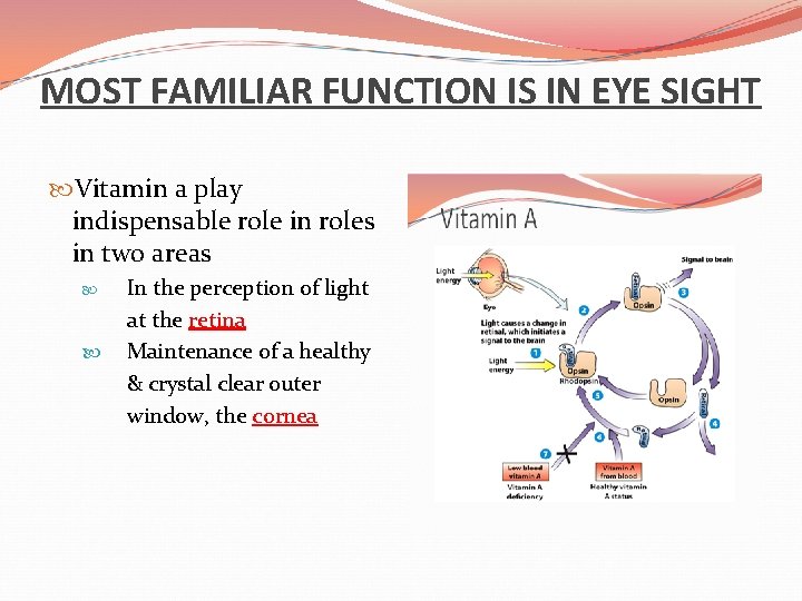 MOST FAMILIAR FUNCTION IS IN EYE SIGHT Vitamin a play indispensable role in roles