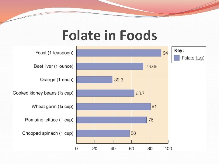 Folate in Foods 