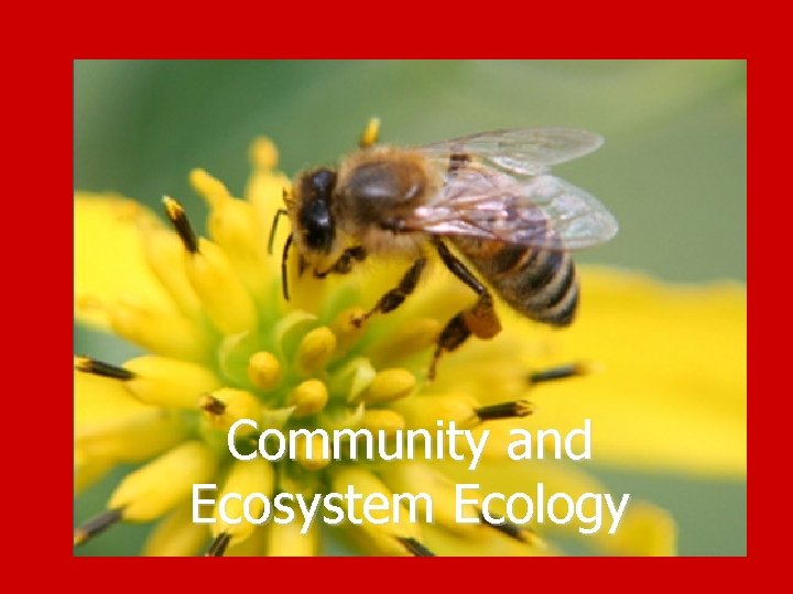 Community and Ecosystem Ecology 