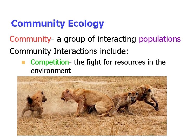 Community Ecology Community- a group of interacting populations Community Interactions include: n Competition- the Community Ecology Community- a group of interacting populations Community Interactions include: n Competition- the