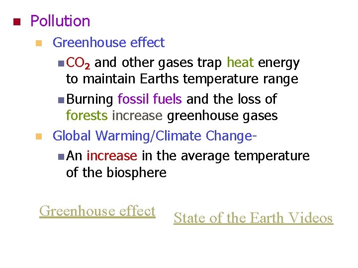 n Pollution n n Greenhouse effect n CO 2 and other gases trap heat