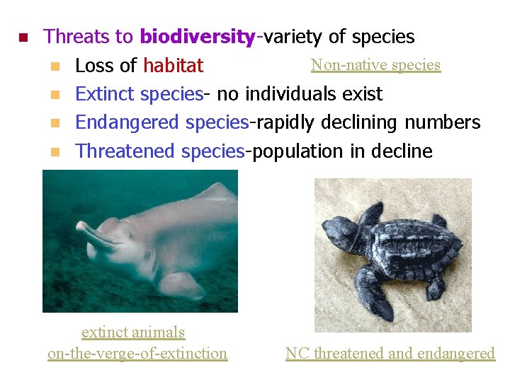 n Threats to biodiversity-variety of species Non-native species n Loss of habitat n Extinct