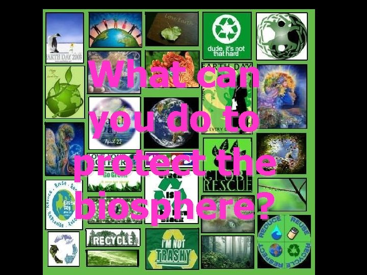 What can you do to protect the biosphere? What can you do to protect the biosphere?