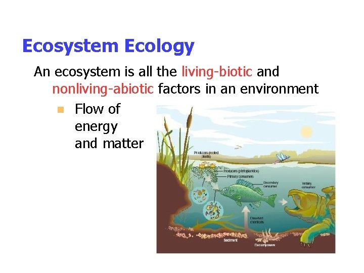 Ecosystem Ecology An ecosystem is all the living-biotic and nonliving-abiotic factors in an environment