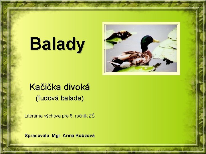 Balady Kačička divoká (ľudová balada) Literárna výchova pre 6. ročník ZŠ Spracovala: Mgr. Anna