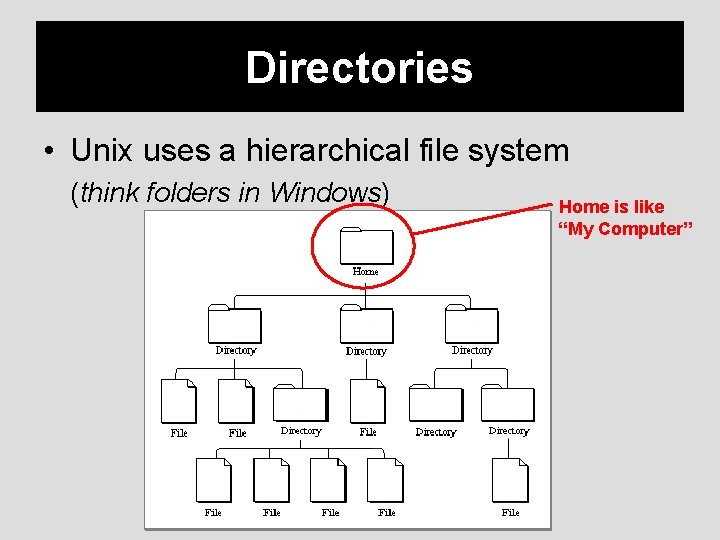 Directories • Unix uses a hierarchical file system (think folders in Windows) Home is