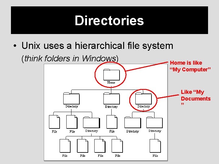 Directories • Unix uses a hierarchical file system (think folders in Windows) Home is