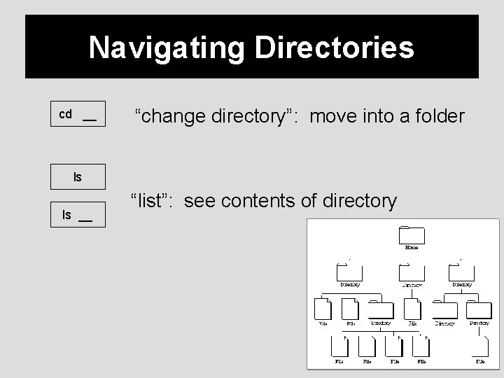 Navigating Directories cd __ “change directory”: move into a folder ls ls __ “list”: