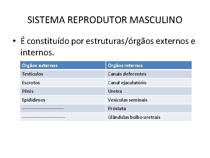 SISTEMA REPRODUTOR MASCULINO • É constituído por estruturas/órgãos externos e internos. Órgãos externos Órgãos