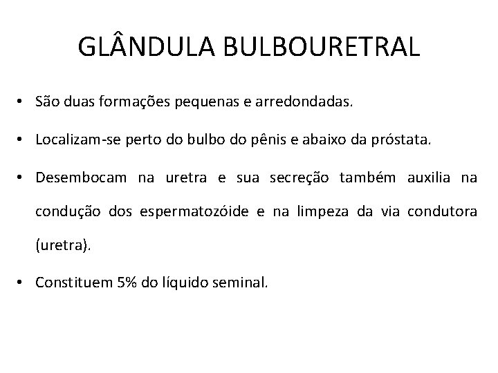 GL NDULA BULBOURETRAL • São duas formações pequenas e arredondadas. • Localizam-se perto do