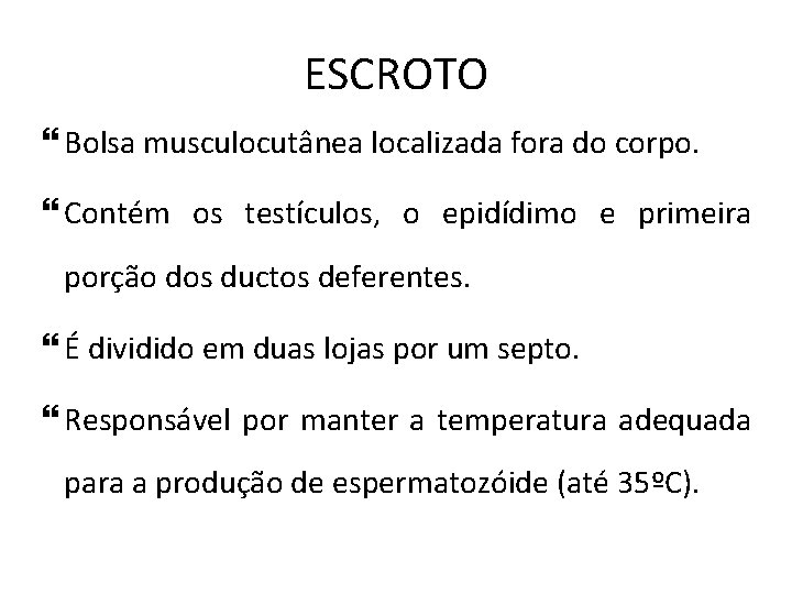 ESCROTO Bolsa musculocutânea localizada fora do corpo. Contém os testículos, o epidídimo e primeira