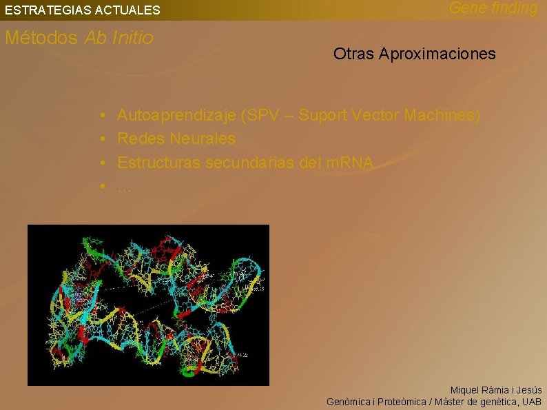 ESTRATEGIAS ACTUALES Métodos Ab Initio • • Gene finding Otras Aproximaciones Autoaprendizaje (SPV –