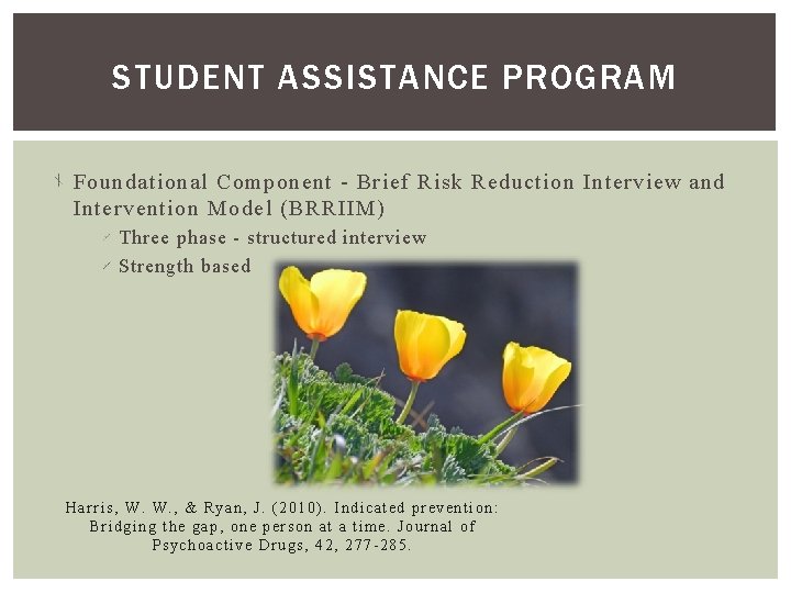 STUDENT ASSISTANCE PROGRAM Foundational Component - Brief Risk Reduction Interview and Intervention Model (BRRIIM) STUDENT ASSISTANCE PROGRAM Foundational Component - Brief Risk Reduction Interview and Intervention Model (BRRIIM)