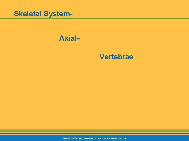 Skeletal System. Axial. Vertebrae Copyright © 2009 Pearson Education, Inc. , publishing as Benjamin