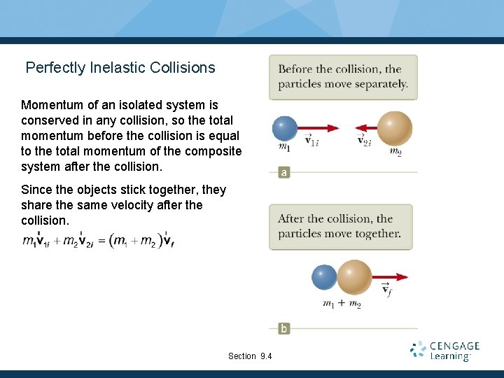 Perfectly Inelastic Collisions Momentum of an isolated system is conserved in any collision, so
