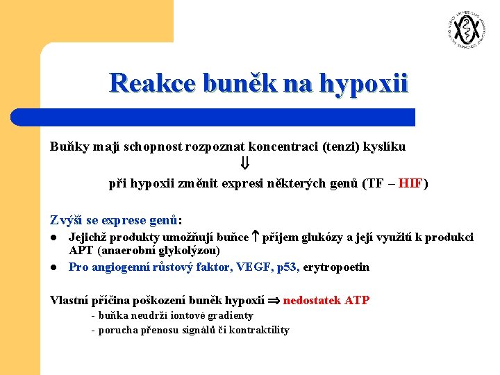 Reakce buněk na hypoxii Buňky mají schopnost rozpoznat koncentraci (tenzi) kyslíku při hypoxii změnit