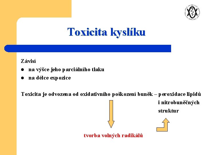 Toxicita kyslíku Závisí l na výšce jeho parciálního tlaku l na délce expozice Toxicita