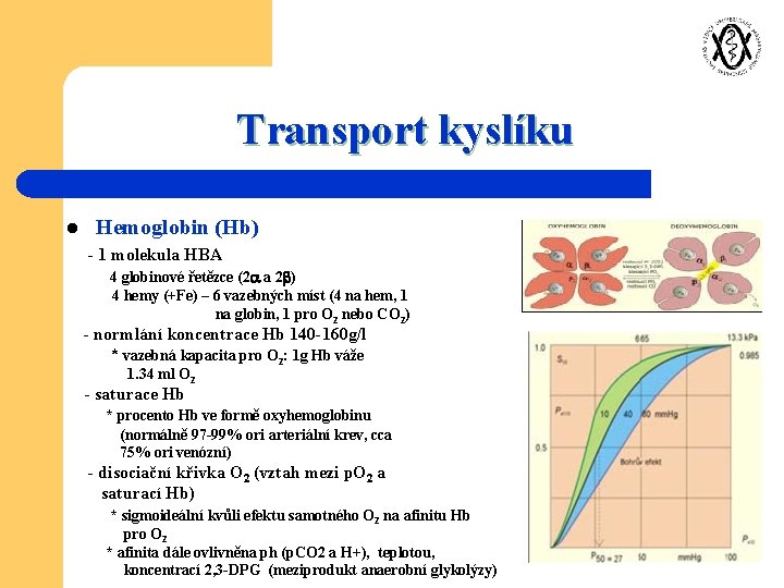 Transport kyslíku l Hemoglobin (Hb) - 1 molekula HBA 4 globinové řetězce (2 a