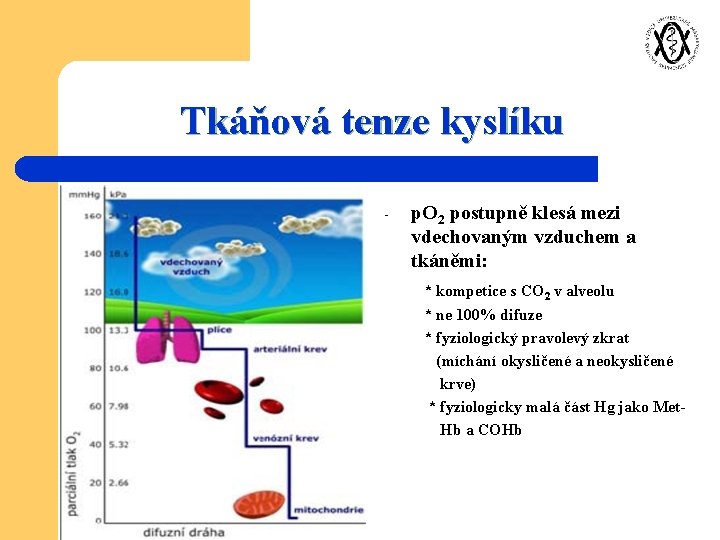 Tkáňová tenze kyslíku - p. O 2 postupně klesá mezi vdechovaným vzduchem a tkáněmi: