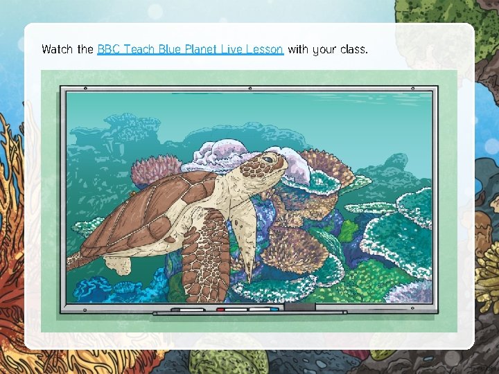 Watch the BBC Teach Blue Planet Live Lesson with your class. 