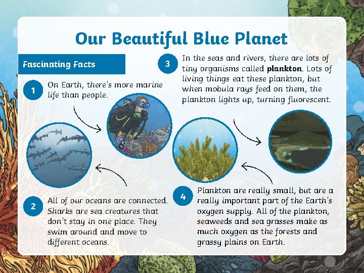 Our Beautiful Blue Planet Fascinating Facts 1 2 3 On Earth, there’s more marine