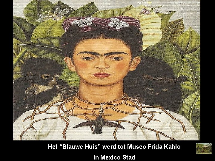 Het “Blauwe Huis” werd tot Museo Frida Kahlo in Mexico Stad 