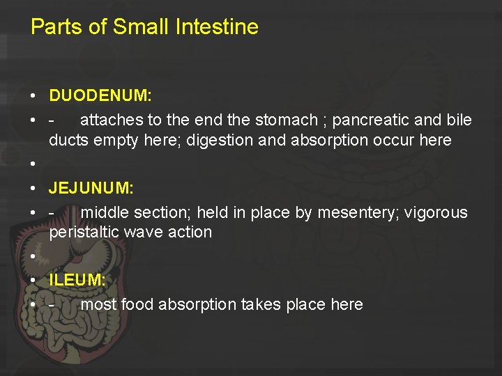 Parts of Small Intestine • DUODENUM: • attaches to the end the stomach ;