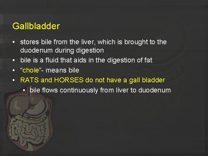 Gallbladder • stores bile from the liver, which is brought to the duodenum during