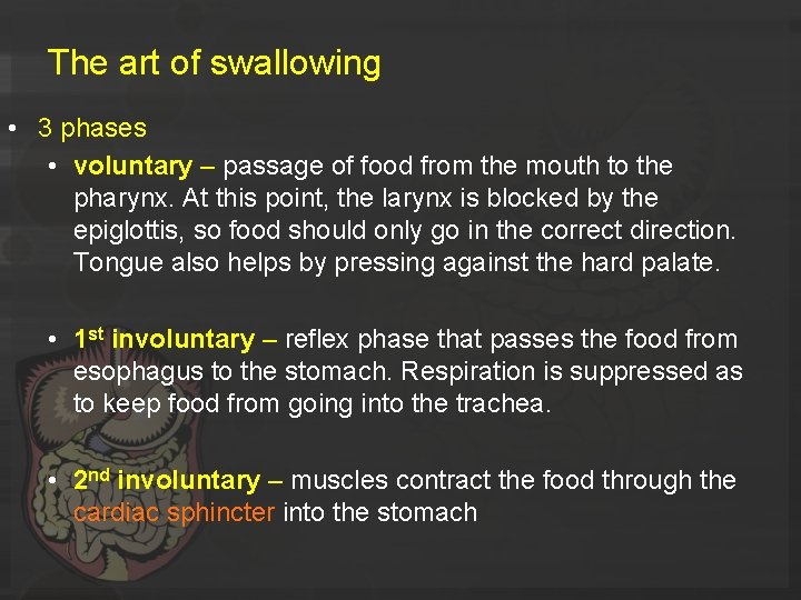 The art of swallowing • 3 phases • voluntary – passage of food from