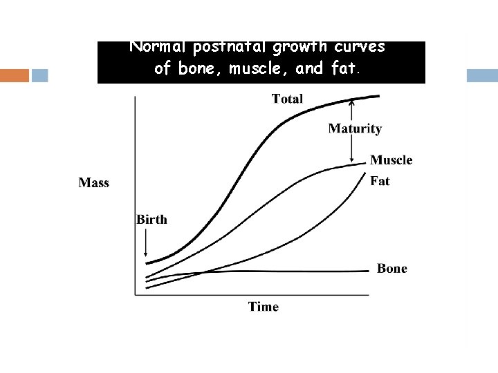 Normal postnatal growth curves of bone, muscle, and fat. 