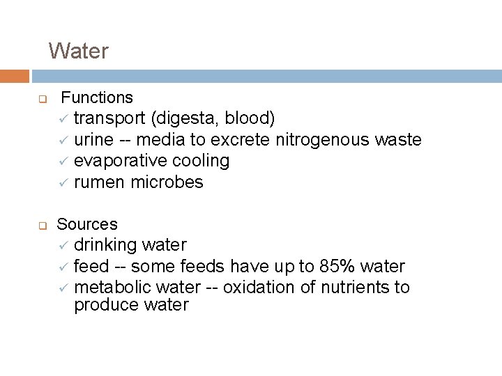 Water q Functions transport (digesta, blood) ü urine -- media to excrete nitrogenous waste