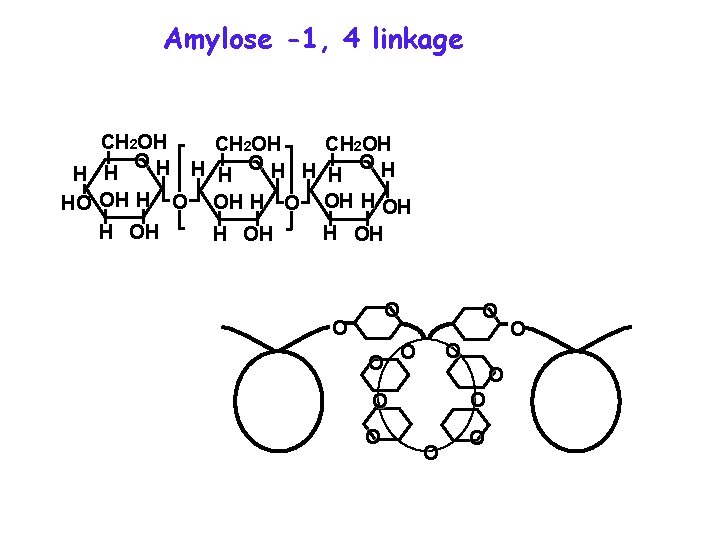 Amylose -1, 4 linkage CH 2 OH OH O O O CH 2 OH