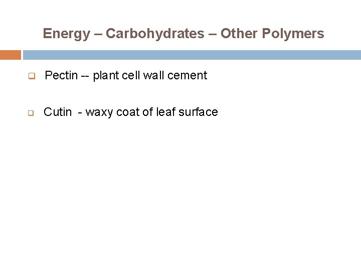 Energy – Carbohydrates – Other Polymers q Pectin -- plant cell wall cement q