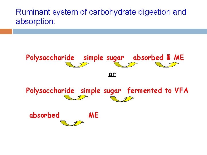 Ruminant system of carbohydrate digestion and absorption: Polysaccharide simple sugar absorbed 6 ME or