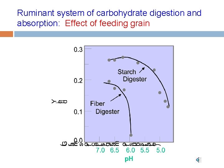 Ruminant system of carbohydrate digestion and absorption: Effect of feeding grain 