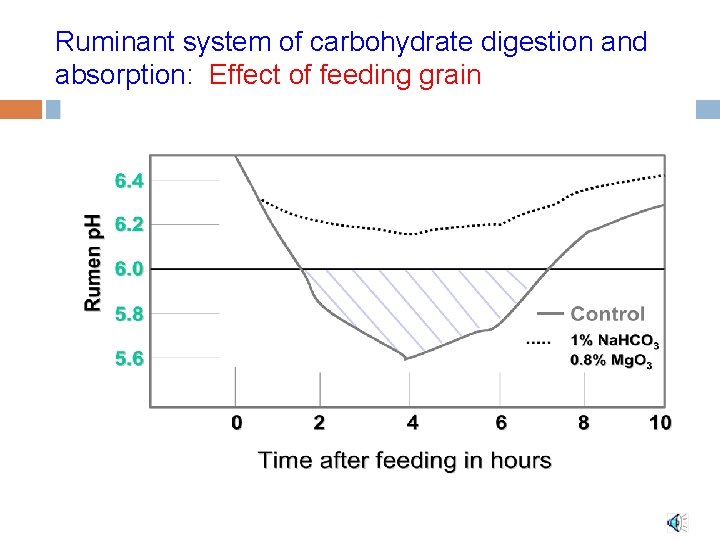Ruminant system of carbohydrate digestion and absorption: Effect of feeding grain 