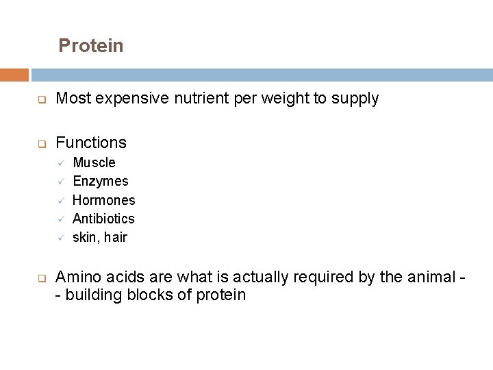 Protein q Most expensive nutrient per weight to supply q Functions ü ü ü