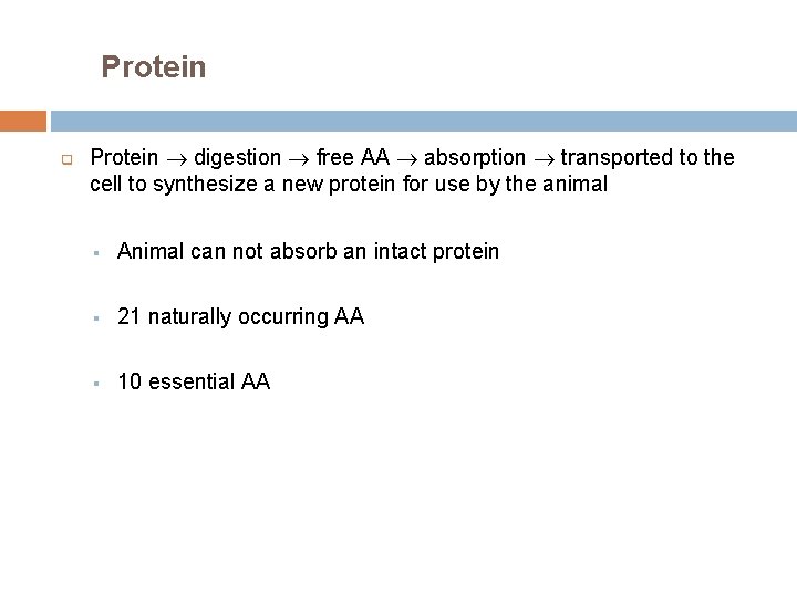 Protein q Protein digestion free AA absorption transported to the cell to synthesize a