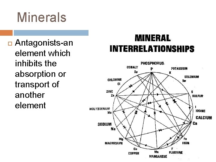 Minerals Antagonists-an element which inhibits the absorption or transport of another element 