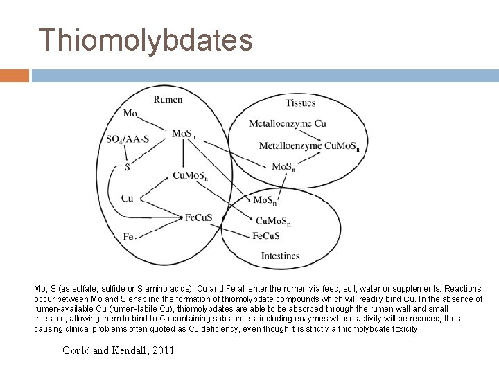 Thiomolybdates Mo, S (as sulfate, sulfide or S amino acids), Cu and Fe all
