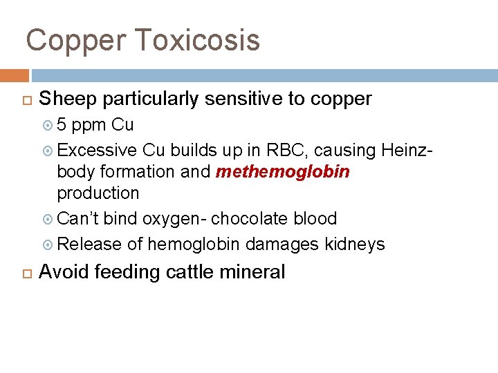Copper Toxicosis Sheep particularly sensitive to copper 5 ppm Cu Excessive Cu builds up