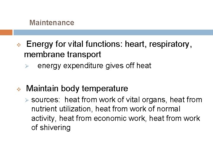 Maintenance v Energy for vital functions: heart, respiratory, membrane transport Ø v energy expenditure