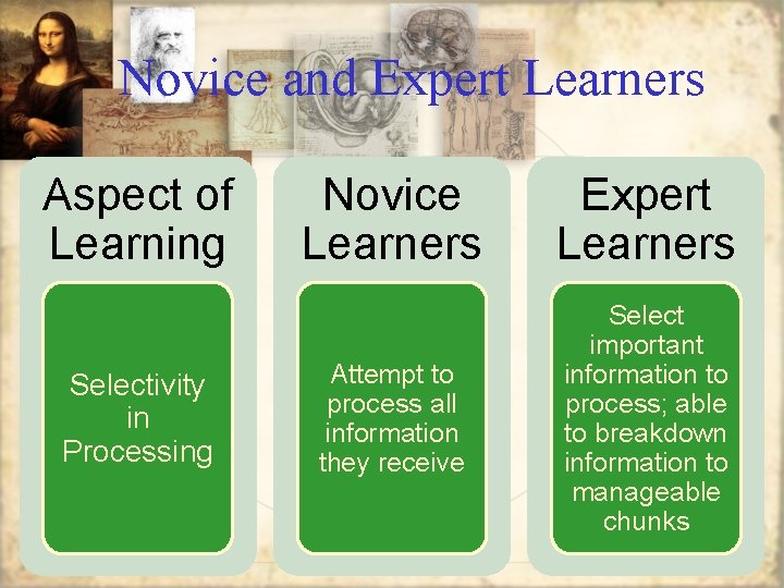 Novice and Expert Learners Aspect of Learning Selectivity in Processing Novice Learners Expert Learners