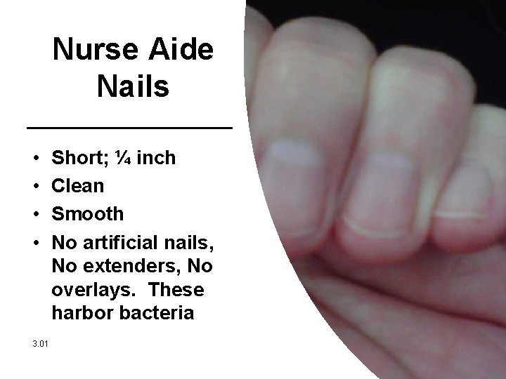 Nurse Aide Nails • • 3. 01 Short; ¼ inch Clean Smooth No artificial