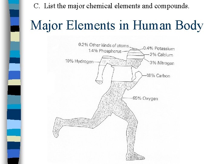 C. List the major chemical elements and compounds. Major Elements in Human Body 